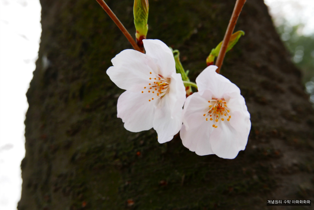 img/5/7/0/B/570BB32C4923360017