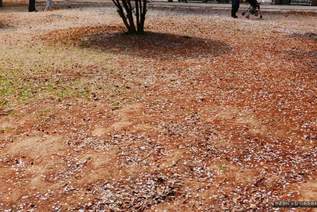 img/5/7/0/B/570BB45D4E107B0026