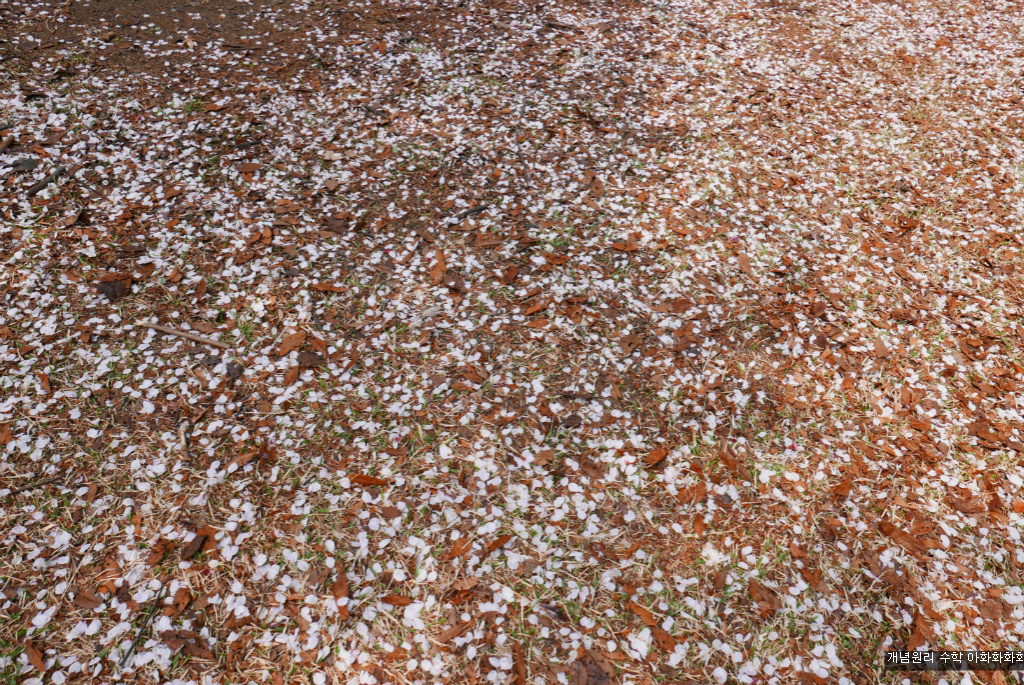 img/5/7/0/B/570BB45F481F320005