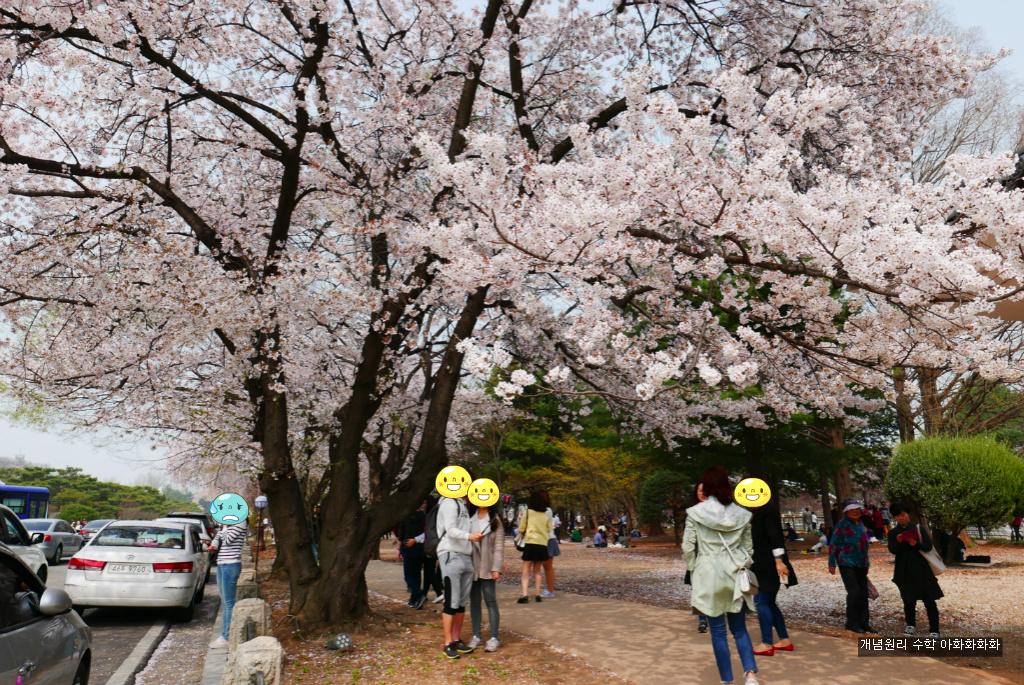 img/5/7/0/B/570BB5F44E3B630005