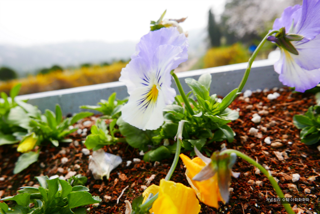 img/5/7/0/B/570BB7733A73FD0018