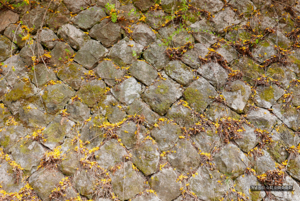 img/5/7/0/B/570BB8FE3C1D490036