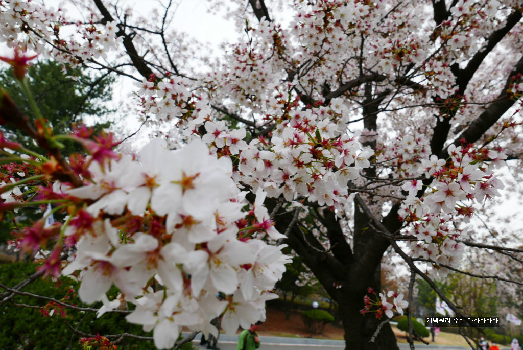 img/5/7/0/B/570BC2F74C03380028