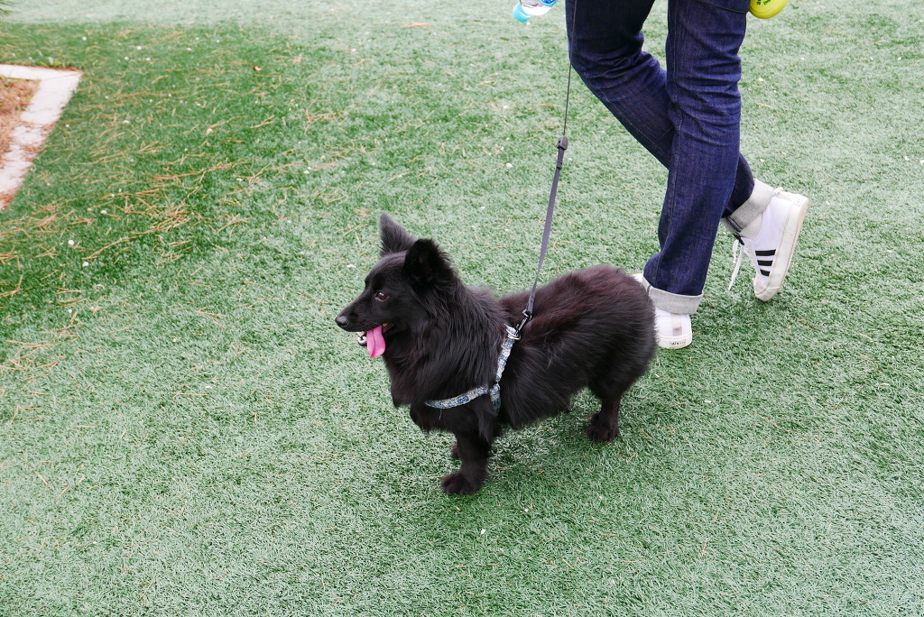 img/5/7/0/B/570BC37F4A1F620018