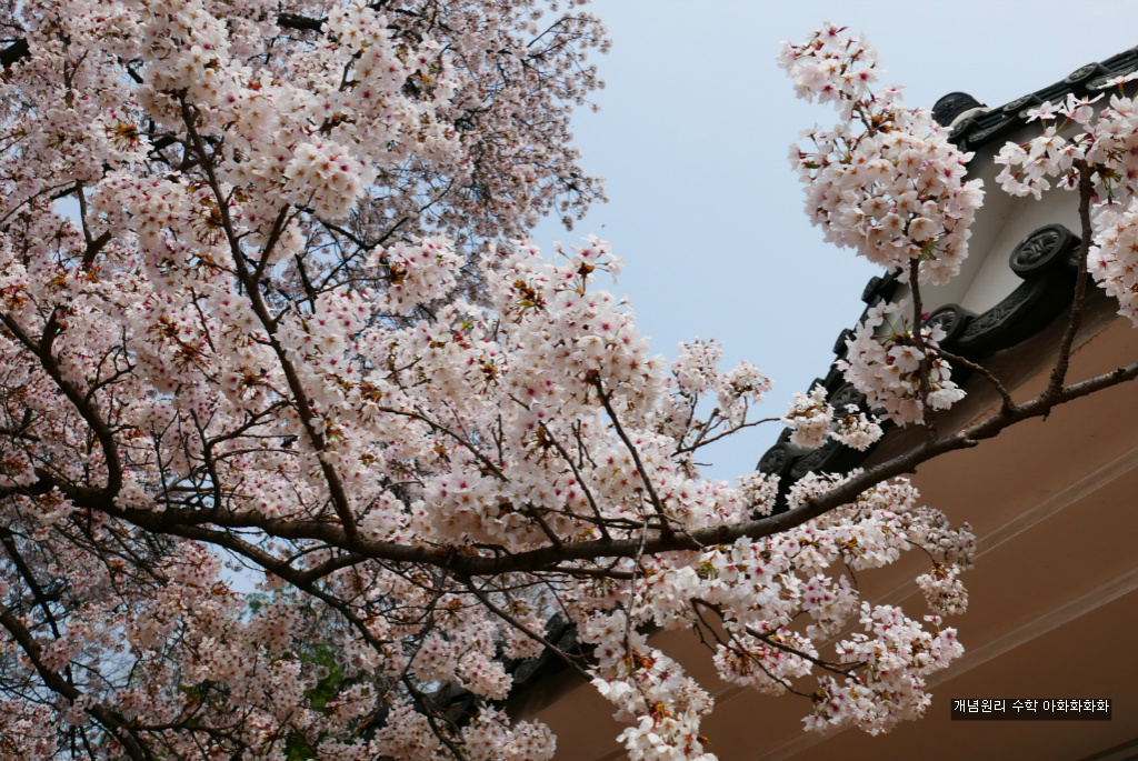 img/5/7/0/B/570BD1473B66590027