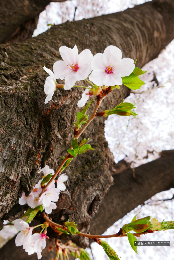 img/5/7/0/B/570BD1493B12F50007