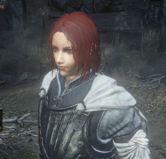 남캐 커마에이어서 여캐 커마 수치 (스압) | 다크 소울 3 | Dark Souls 3 | 다크 소울 루리웹 | 루리웹