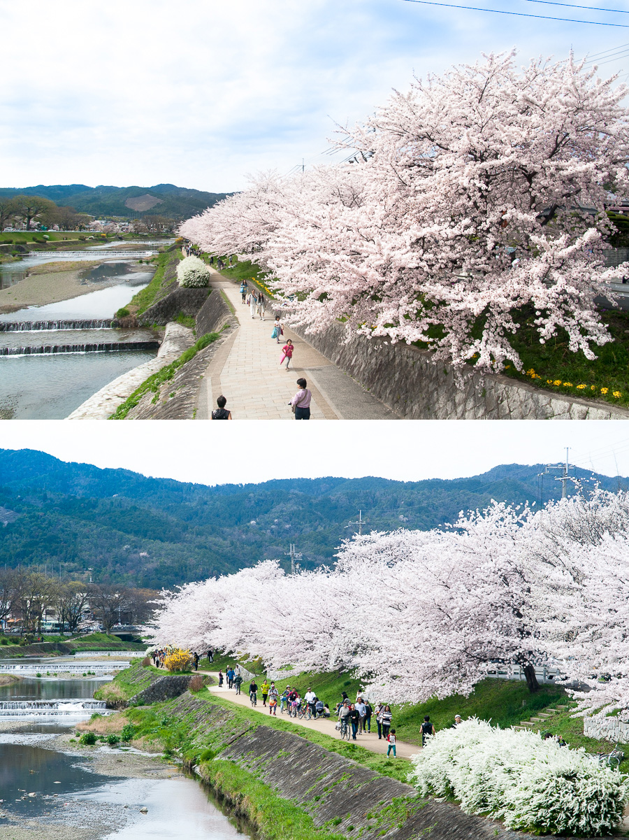 그래, 교토에 가자_9.jpg