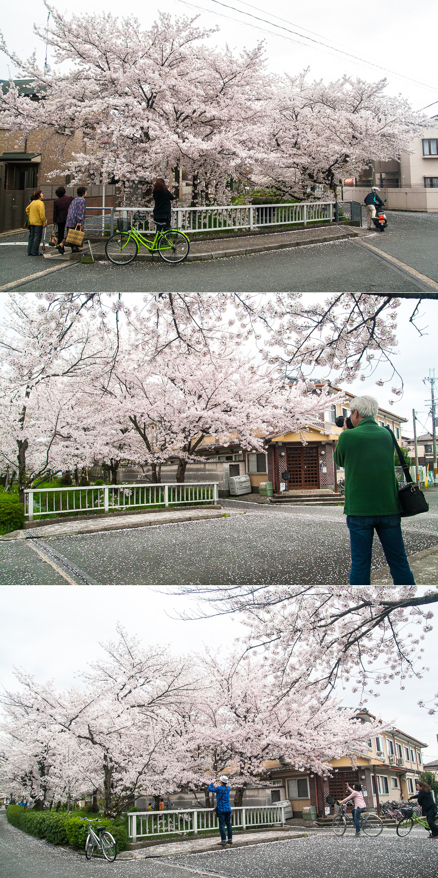 그래, 교토에 가자_11.jpg