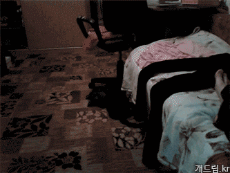 어둠 속 맹수_1.gif