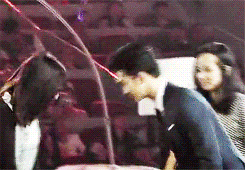 영춘권의 달인.jpg_4.gif