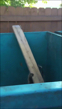 귀여운 아라이상의 움짤을 보고 가는 거시다!_1.gif