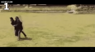 사육사를 건드리면 안되는 이유_1.gif