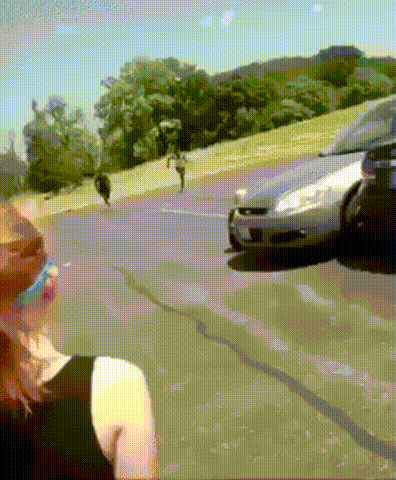 신 : 이상하다 왜 중력 패치가 안 먹지?_1.gif