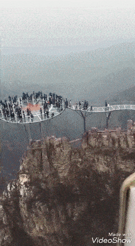 대륙의 유리다리 건너는 사람들_1.gif