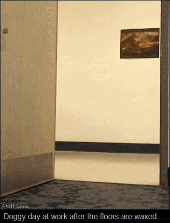 (후방주의) 맹수들에게 쫓기는 서양 남자. Gif_1.gif