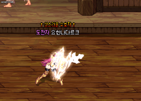 팔라딘 스킬 뜻풀이 / 영알못 네오플이 또..(데이터 주의)_9.gif