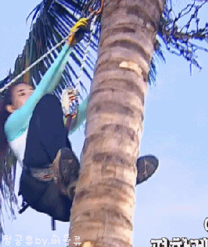 이쯤에서 다시보는 소진 이모 엉덩이 레전드_7.gif