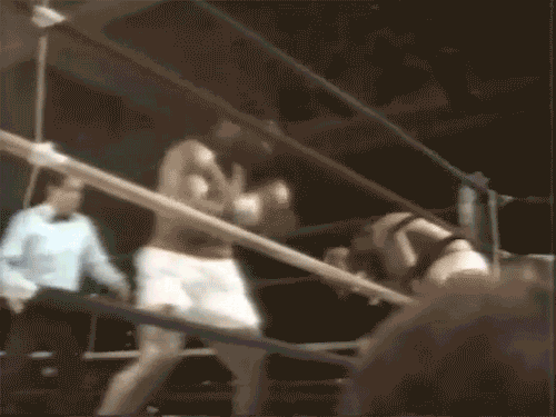 f173721256245ed047689e0ed249aac5.gif