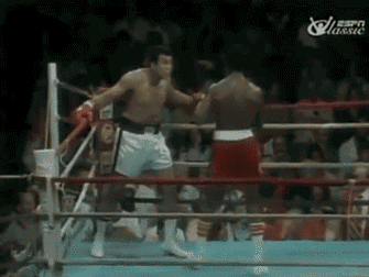 AliDodge (1).gif