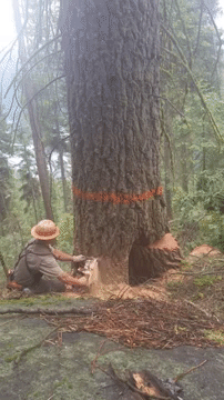 미국에서 기피하는 직업 .gif_1.gif