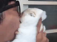 집사야 제발 그만해.gif_1.gif