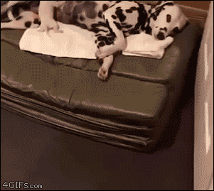 오우! 모유 최대로!_1.gif