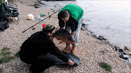 낚시할 때 방심은 금물._1.gif