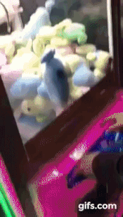 반드시 뽑겠다는 의지.gif_1.gif