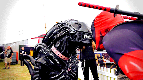 데드풀 코스프레 위험.gif (데이터 주의)_2.gif