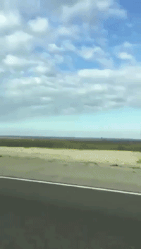 한국 과자 요약_1.gif