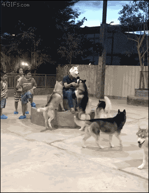 캬.. 새끼 도시가더니 사람이 다 됬네!_1.gif