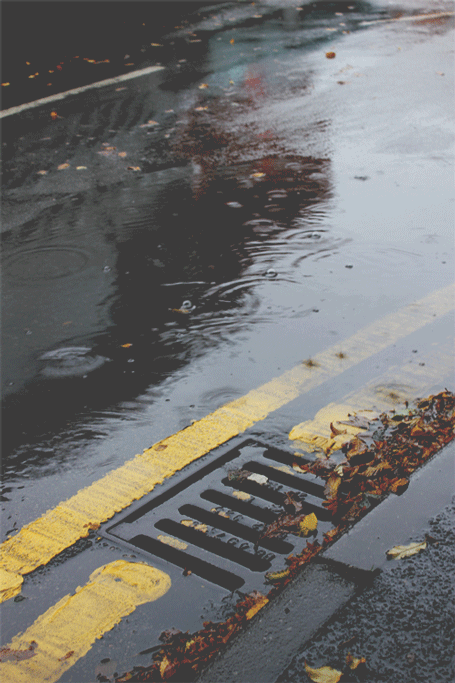 [갬성] 비 오는 거리.gif_6.gif