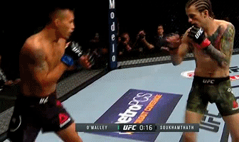 UFC 초신성 "션 오말리"_9.gif