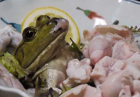 蛙刺身 gif_3.gif