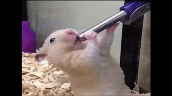 이번달에 후타야동 신작 2개나 나온다_1.gif