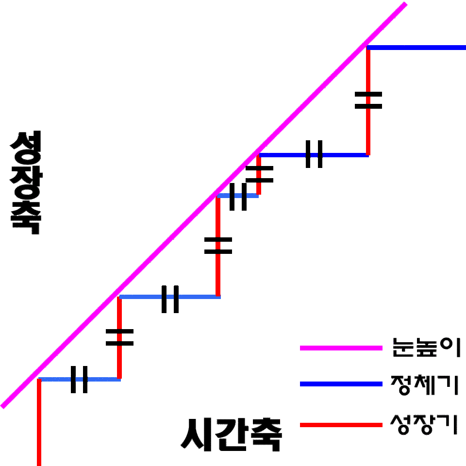 계단-성장-그래프2.gif
