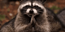(데이터,스크롤 주의) 집중이 안될때 올리는 덧글용 짤 모음_54.gif