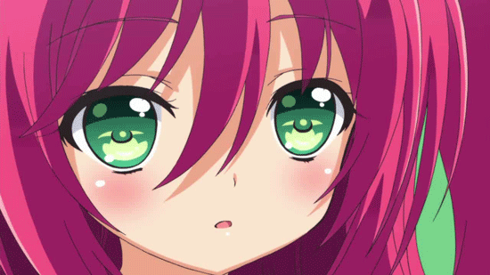 합법로리 좋니?_1.gif