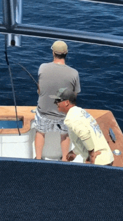 낚시 거시기 센서_1.gif