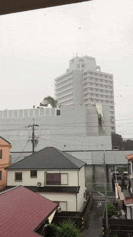 실시간 일본 태풍 움짤.gif_1.gif