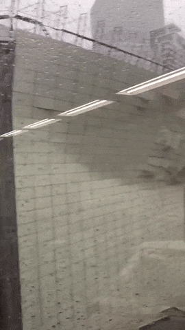 실시간 일본 태풍 움짤.gif_3.gif