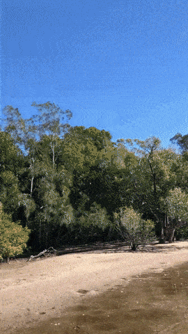 자연으로 돌아가렴.gif_1.gif