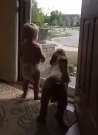 퇴근하는 아버지 스트레스 한방에 날라가는짤_1.gif