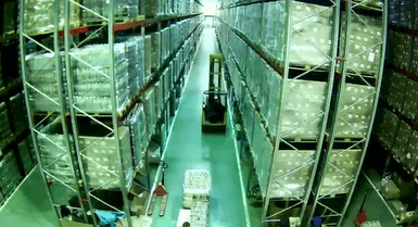 5대손까지 취직시켜준다는 회사 .gif_1.gif