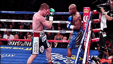 매이웨더가 전세계 스포츠스타 연봉 1위인 이유_4.gif