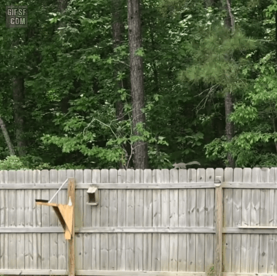 위험한 초대.gif_1.gif