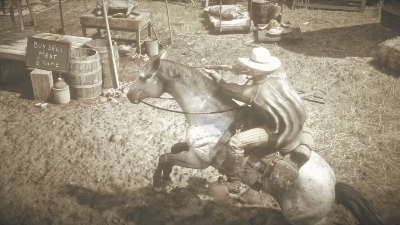 Red Dead Redemption 2_20190303181356__16.gif