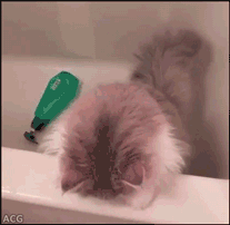 봇전에서 시야점수 어케 빨리올려요?_1.gif