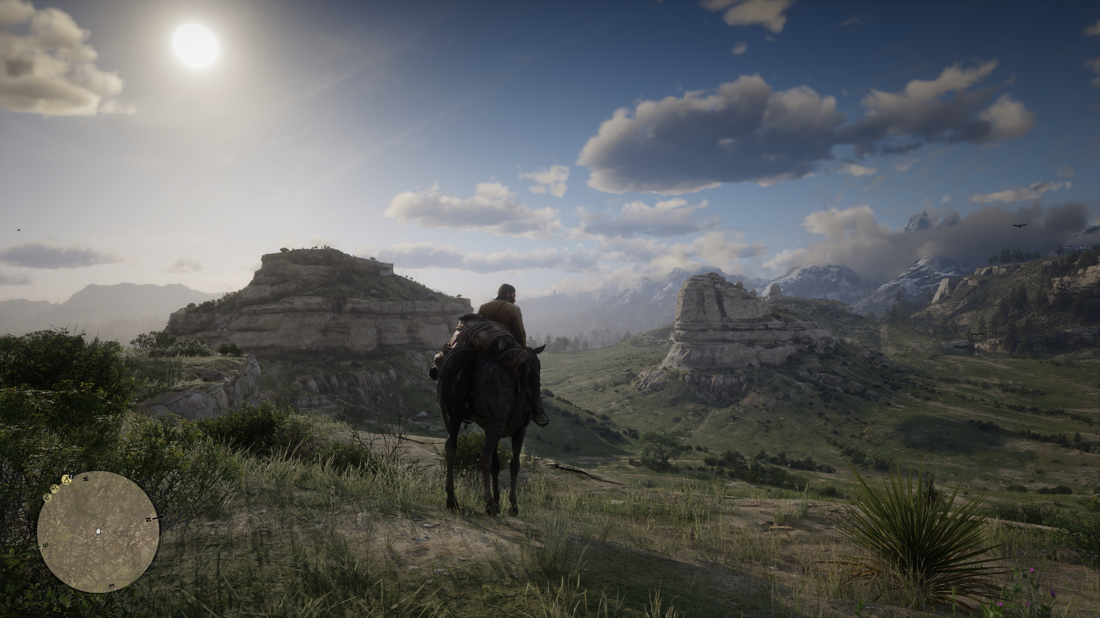 RDR2 2019-11-08 13-17-35-379.jpg